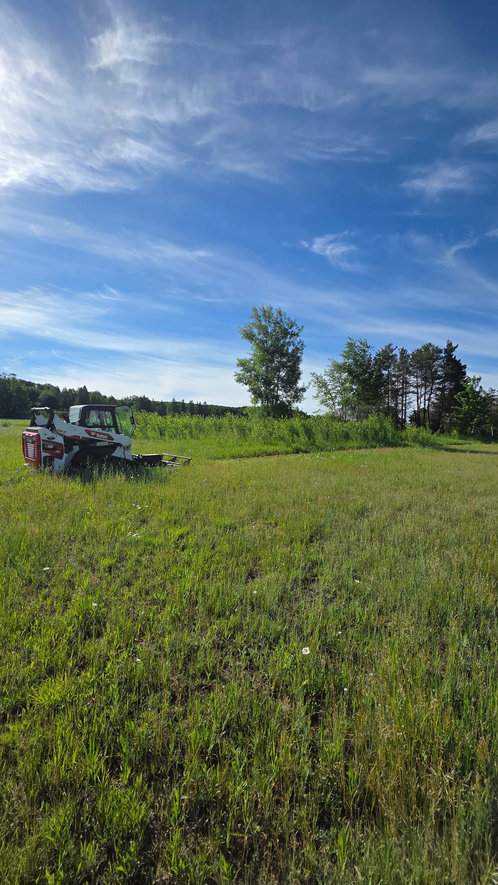 Land Clearing and Brush Hogging on Two Properties image