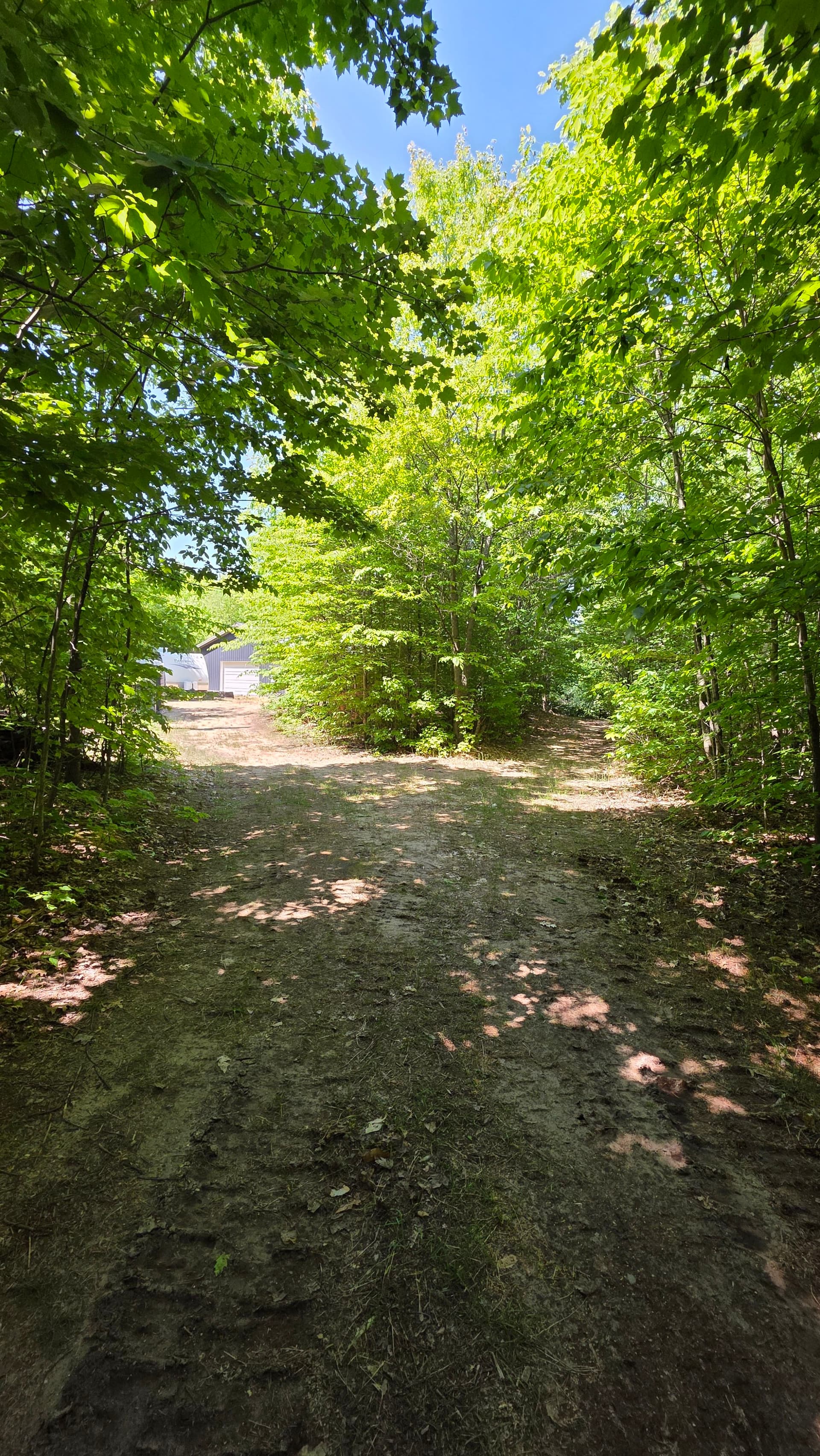 Gallery photos for Land Clearing and Brush Hogging on Two Properties: Image #7