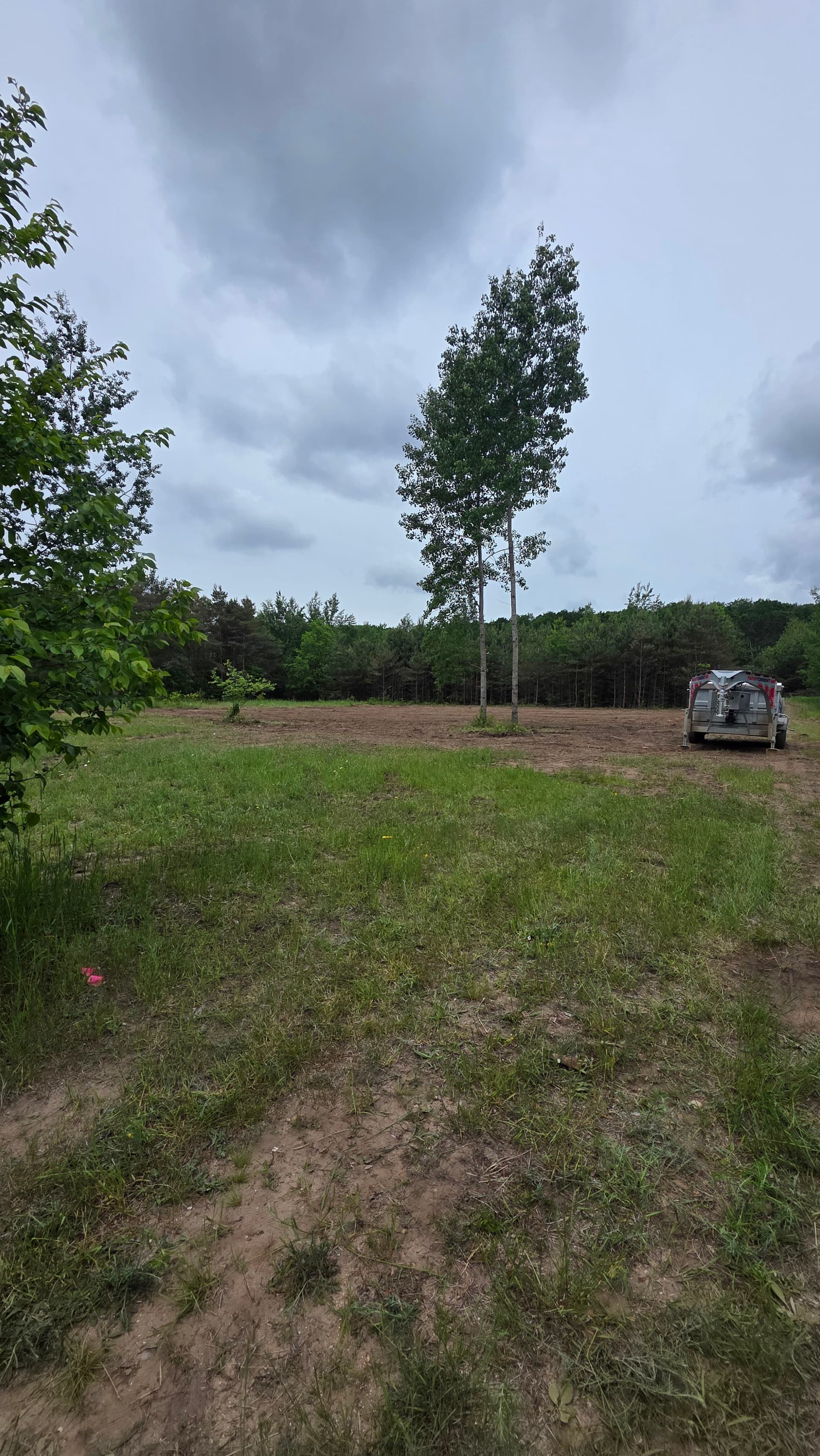 Gallery photos for Land Clearing and Brush Hogging on Two Properties: Image #2