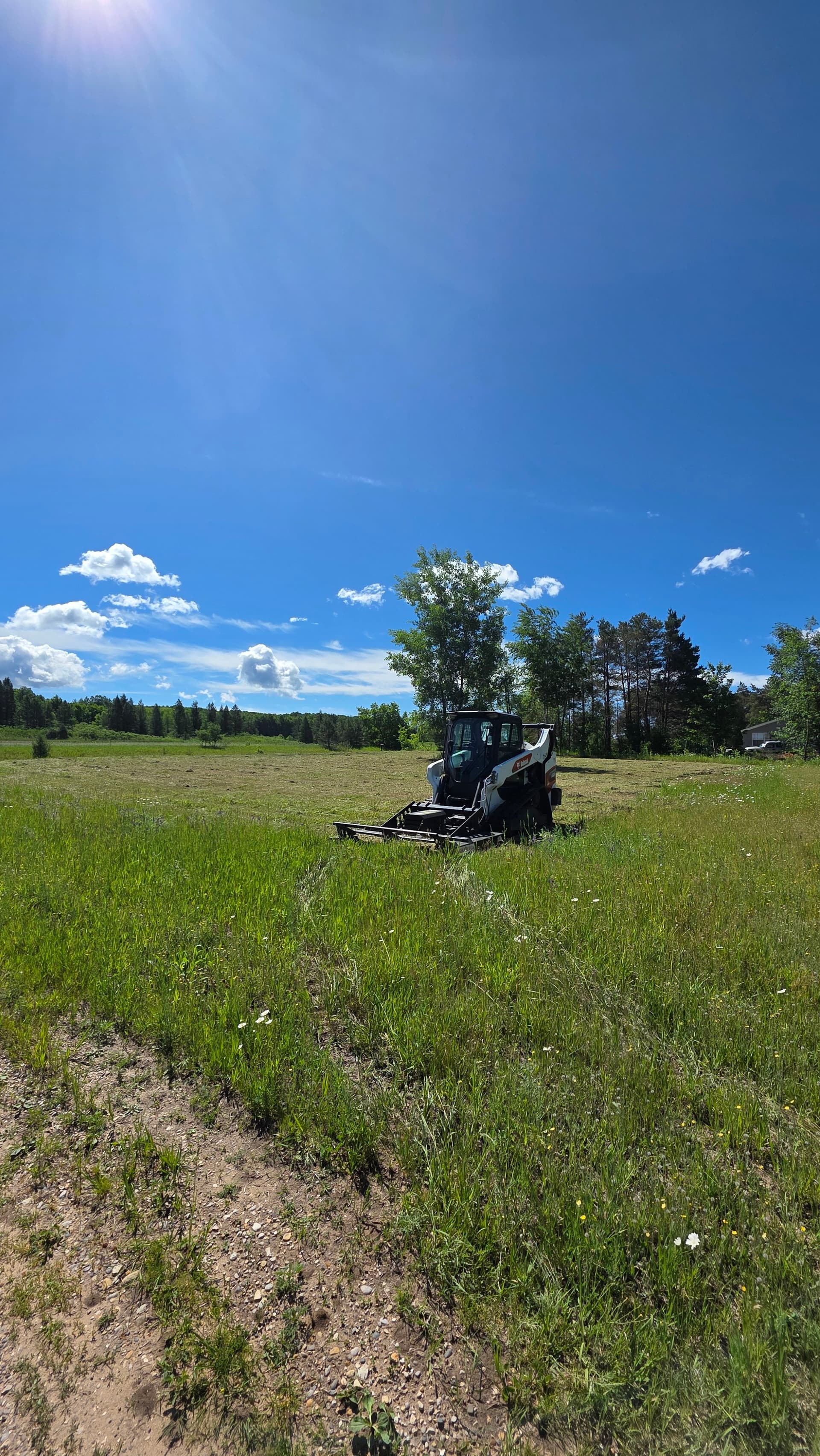 Gallery photos for Land Clearing and Brush Hogging on Two Properties: Image #1