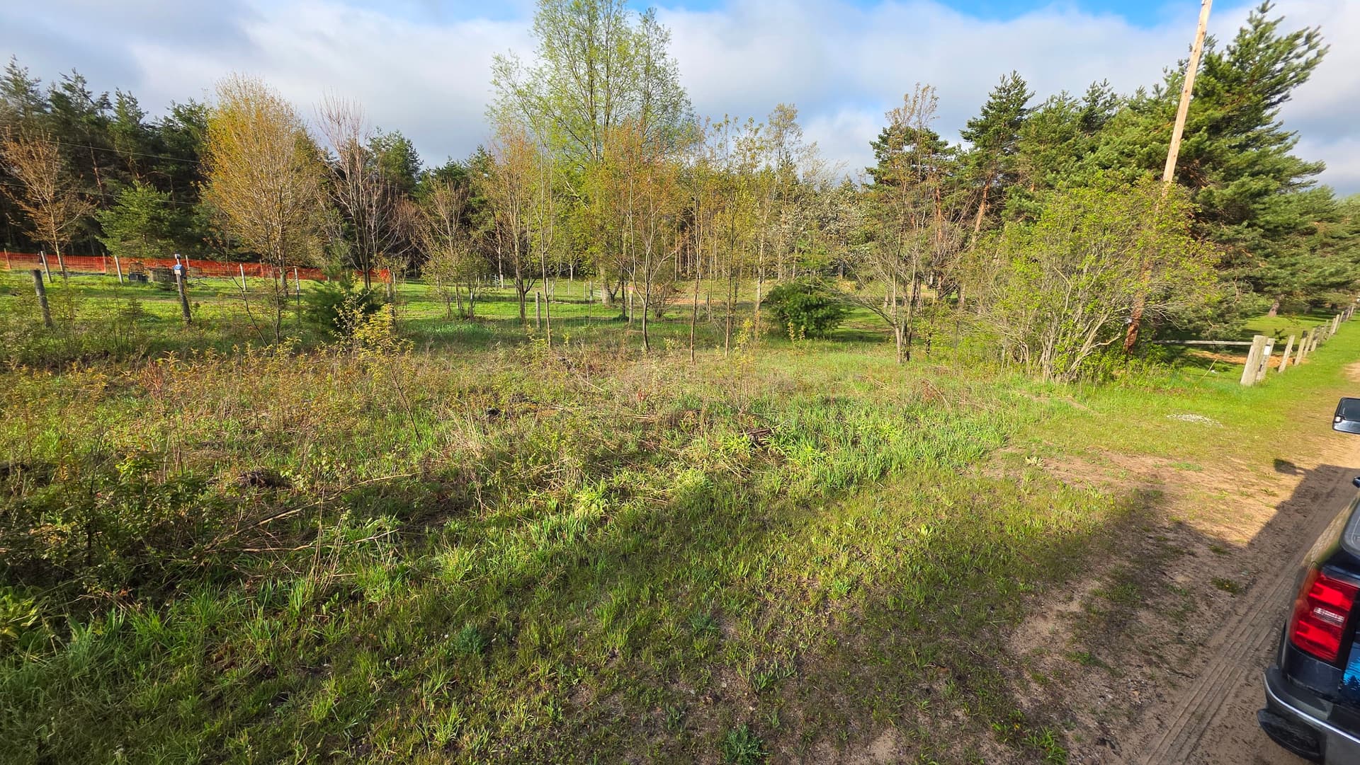 Gallery photos for Gravel Driveway Reconditioning and Land Clearing Done Right: Image #1