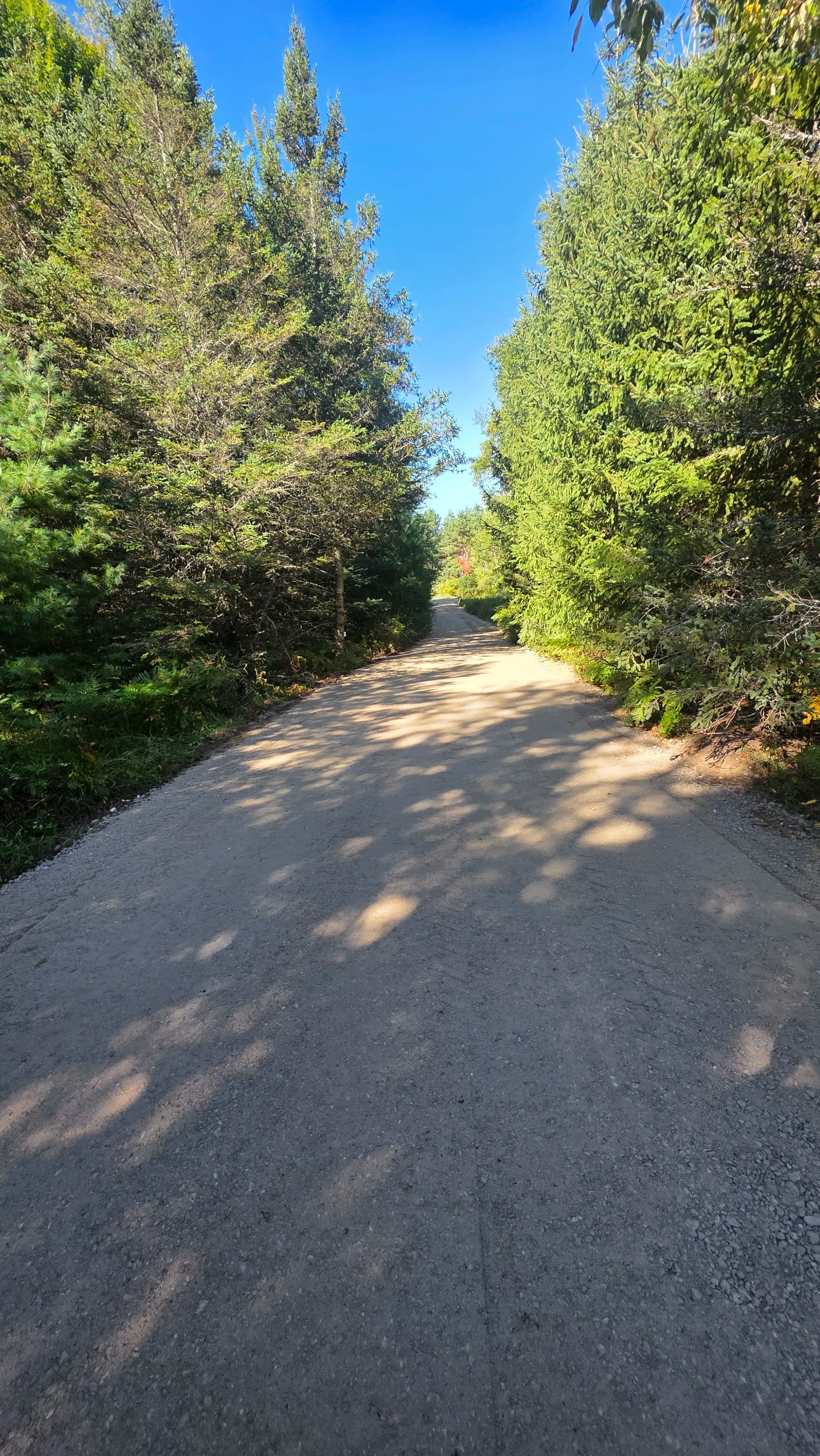 Gallery photos for Crushed Concrete Driveway Fixes Drainage and Washout Problems: Image #2