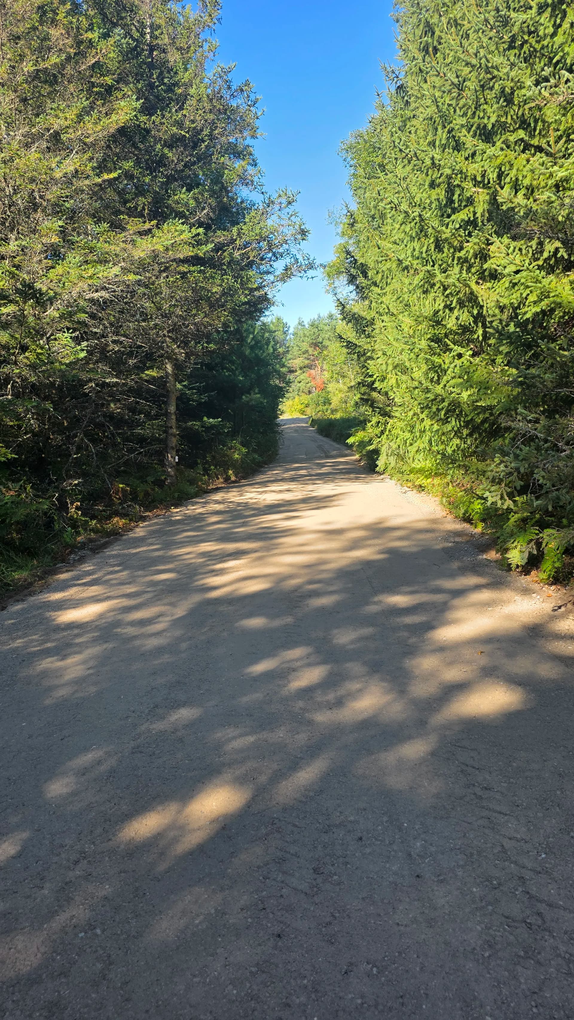 Gallery photos for Crushed Concrete Driveway Fixes Drainage and Washout Problems: Image #3